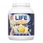  Tree of life LIFE Casein 1816 