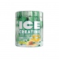  FA Nutrition Ice Creatine 300 